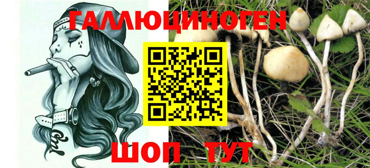 Галлюциногенные грибы GOLDEN TEACHER  Вход с VPN  Галлюциногенные грибы мухоморы  Шадринск 