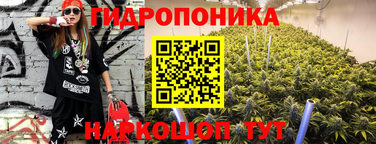 Канабис семена  МАРИХУАНА гибрид  Бошки Шишки Bruce Banner  Вход с VPN  Шадринск 